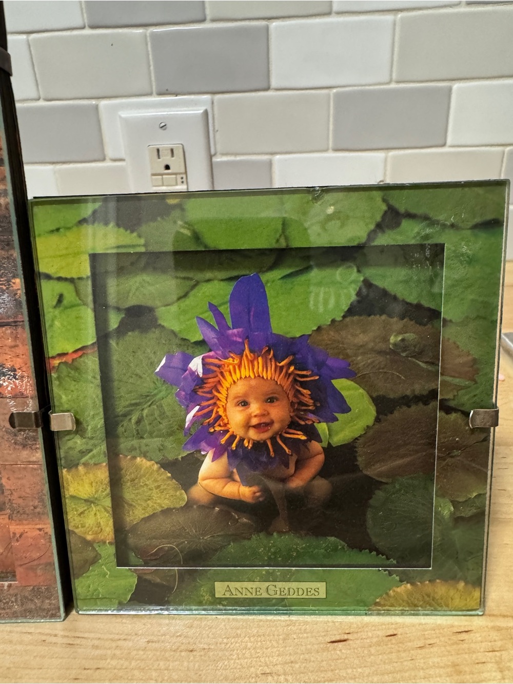 3 Anne Geddes garden baby art framed pictures - Picture 7 of 7
